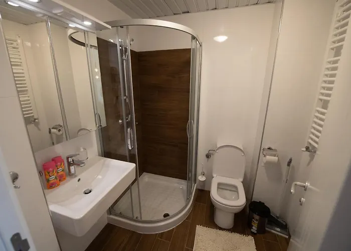 Διαμέρισμα Petkovic 31 *