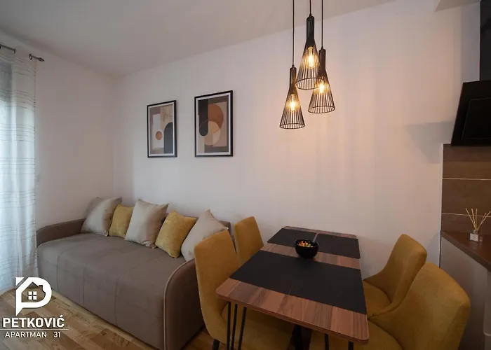 Διαμέρισμα Petkovic 31 *